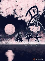 月影霜华落天涯