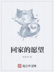 愿望的实现之回家是什么意思