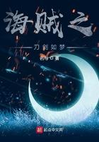 海贼王之刀剑神域系统