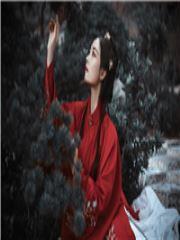 不曾忆韶华白芯儿