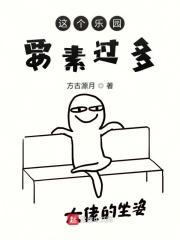 这个乐园给我带来了什么样的快乐