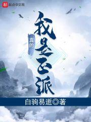 从山寨npc到大bossTXT免费