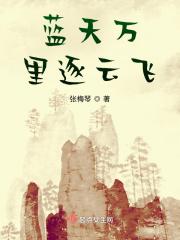 逐梦蓝天云飞扮演者