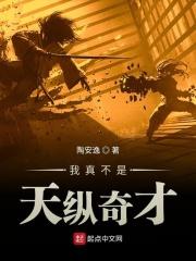 我真不是天纵奇才277章