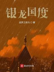 银龙属于哪个国家的服装风格