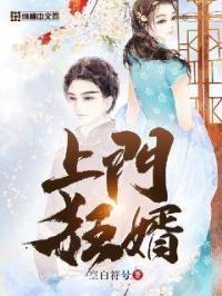 上门狂婿叶锋李若云