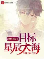 精灵宝可梦星星