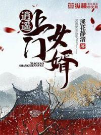 逍遥上门女婿介绍