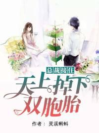 总裁接住天上掉下个双胞胎