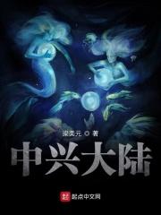 中兴中国