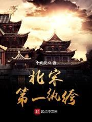 大宋第一纨绔txt