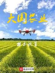 大国农匠董事长是谁