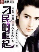 刁民是什么枪