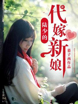 陆少的替嫁新娘陆城夕