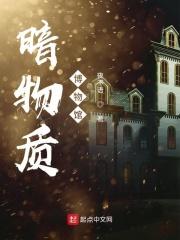 暗物质讲座