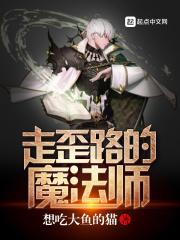 走歪路的魔法师八零