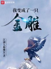 我变成了一只金雕txt