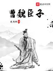 曹魏臣子百度百科