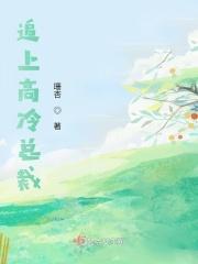 追上高冷总裁电视剧
