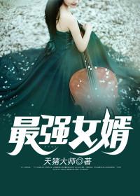 赘婿辉煌的人生