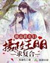 农家极品俏医妃