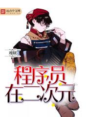 程序员在二次元里叫什么