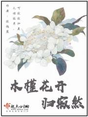 木槿花开是什么意思?
