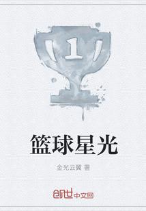 星光耀篮球场