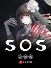 海贼团几个人