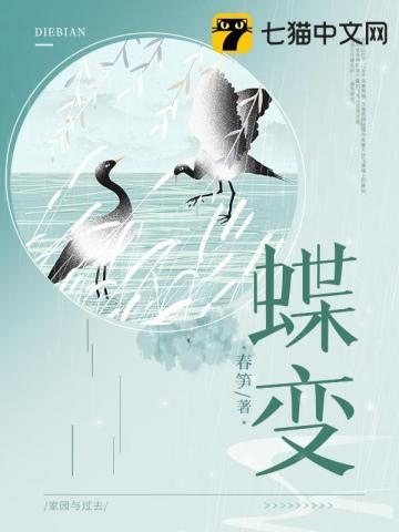 蝶变简介