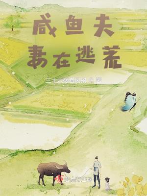 古代收租日记