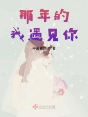 遇见那一年的歌