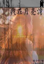 我在月亮湾等你歌谱