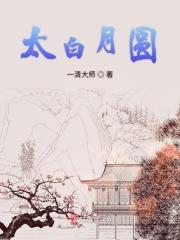 太白邀月图