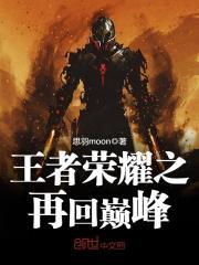 王者荣耀之重回巅峰txt