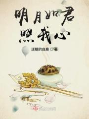 明月照我心全句