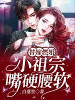 替嫁小少爷他