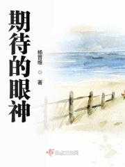 期待的眼神作文500字六年级