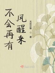 歌词中有不会再有孤独是什么歌