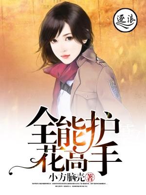 全能高手怎么显示