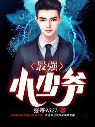 最强小少爷TXT