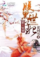 腹黑世子妃日常全文